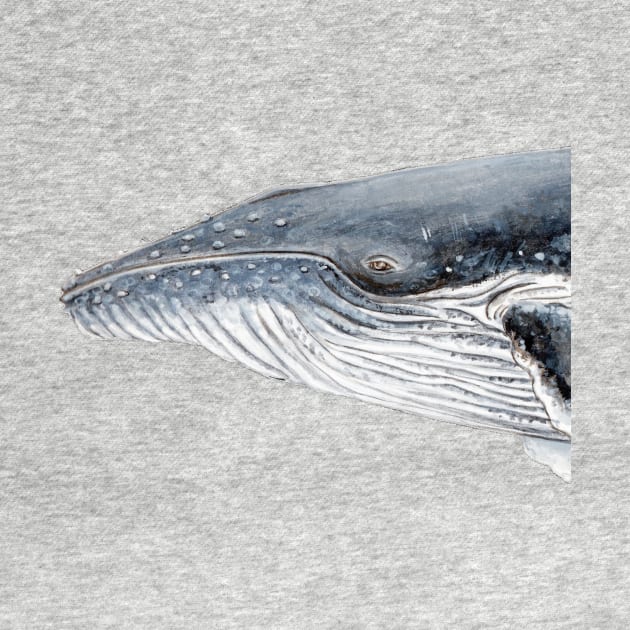 Humpback whale portrait by chloeyzoard